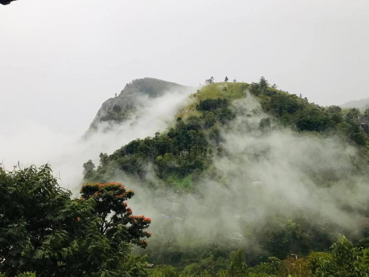 Hilltop Wood Lodge 埃拉 外观 照片